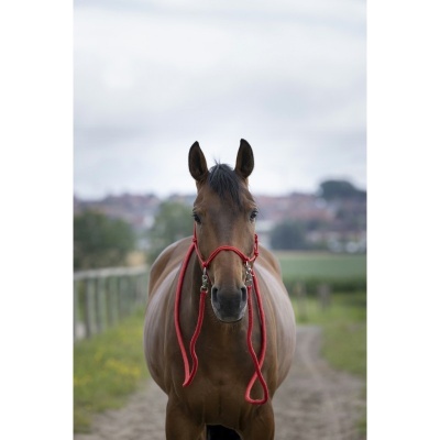 Cabeção Natural c/ Rédeas NORTON