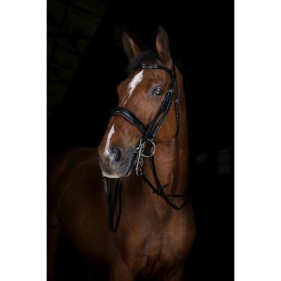 Rédeas p/ Freio ERIC THOMAS Elite 13 MM