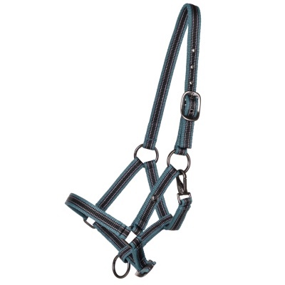 Cabeção p/ Poldro QHP Yearling Collection S25