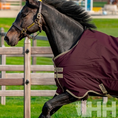 Cobrejão de Exterior AMIGO Hero 600 Light (100g)