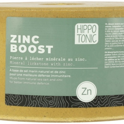 Pedra de Sal HIPPOTONIC "Zinc Boost"
