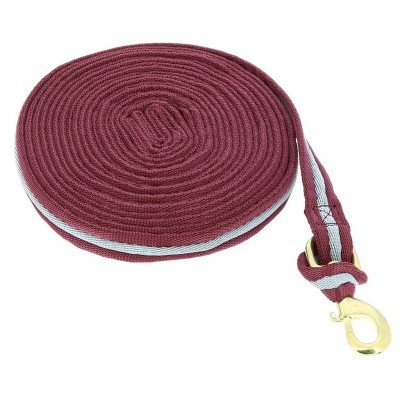 Guia de Trabalho NORTON