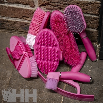 Kit de Limpeza HORSEWARE Newmarket