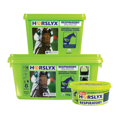 Guloseima Nutritiva HORSLYX