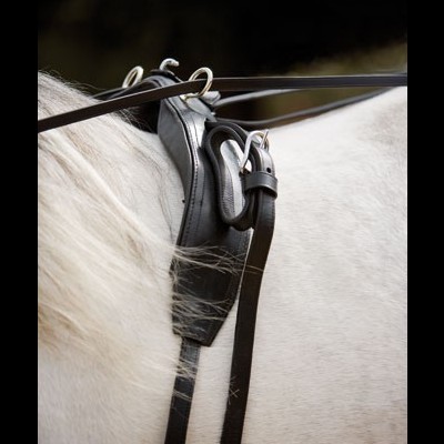 Arreio de Engate LEXHIS Peitoral "Kiel" Singular