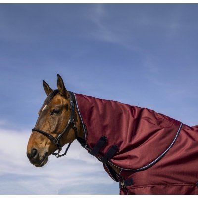 Cobre-pescoço EQUITHÈME "Tyrex 1200D"