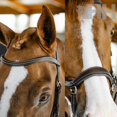 Cabeçada de Bridão HORSEWARE Micklem Competition