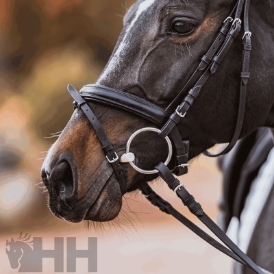 Bridão Recto HS Sprenger "Duo Loose Ring" 16mm