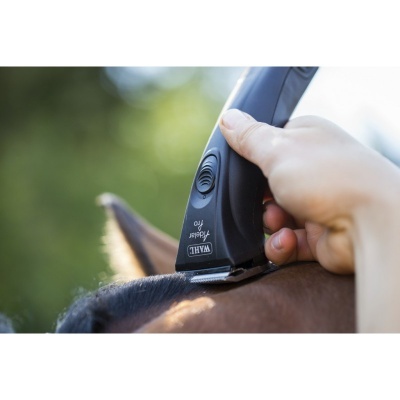 Máquina de Tosquia WAHL "Adelar Pro"