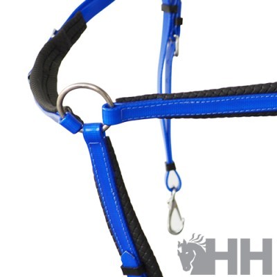 Peitoral de Raid LEXHIS Biothane c/ Gamarra