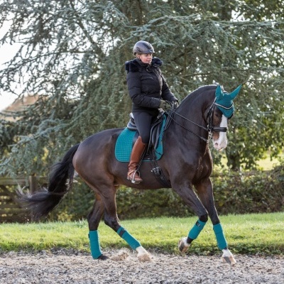 Conjunto de Dressage LEMIEUX Classic