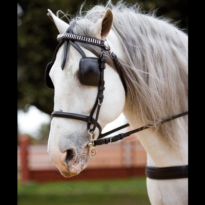 Arreio de Engate LEXHIS Peitoral "Kiel" Singular