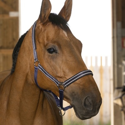 Cabeção NORTON "Reflective"