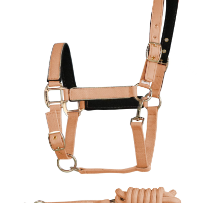 Cabeção + Prisão HARCOUR Hansy