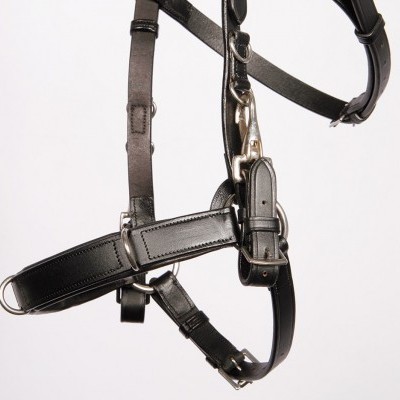 Cabeçada Multifunções em Couro HARRY'S HORSE