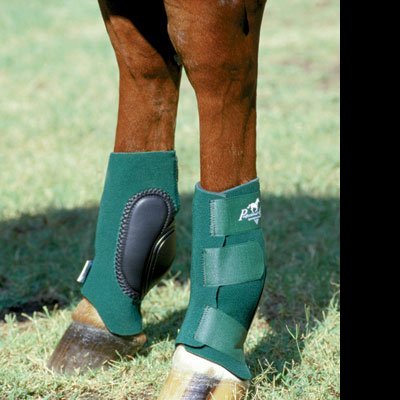 Caneleiras Traseiras PROFESSIONAL'S CHOICE "Slide Tec"