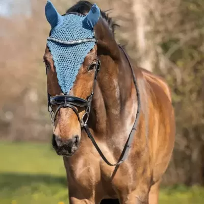 Orelheiras QHP Lungo