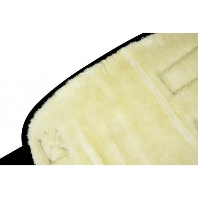 Protectores de Transporte RIDING WORLD