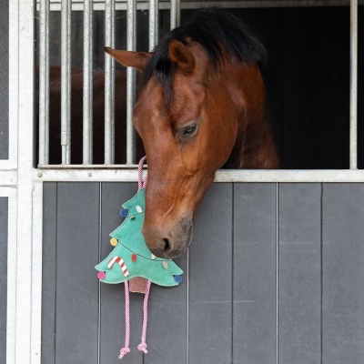 Brinquedo p/ Cavalos QHP Christmas