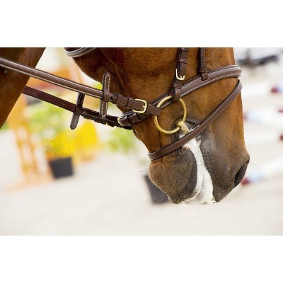 Bridão Partido 2 Anéis FEELING Cyprium