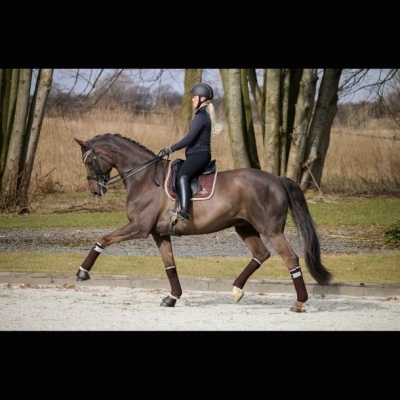 Ligaduras Elásticas SD DESIGN "Glitter"