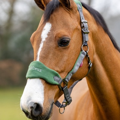 Cabeção + Prisão LEMIEUX Vogue
