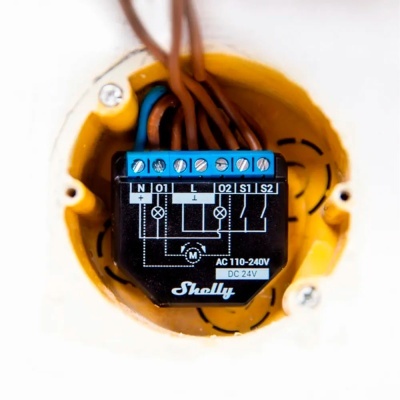 Módulo interruptor WiFi Shelly PLUS 2PM