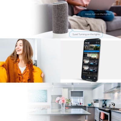 Módulo interruptor WiFi Shelly PLUS 1 PM