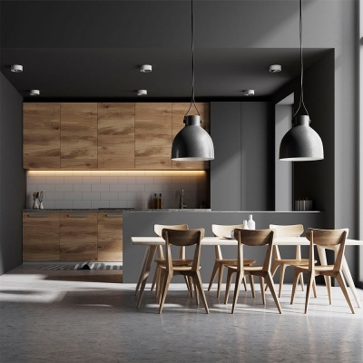 Módulo interruptor WiFi Shelly PLUS 1 PM