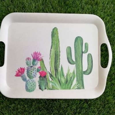 Tabuleiro branco com desenho de cactos e flores rosa, sobre relva verde.
