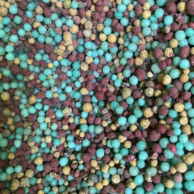 FERTILIZANTE LIBERTAÇÃO CONTROLADA 100GR