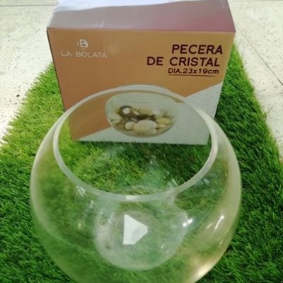 Aquário de vidro para plantas