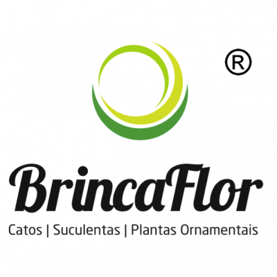 Logótipo BrincaFlor com texto e semi-círculos verdes