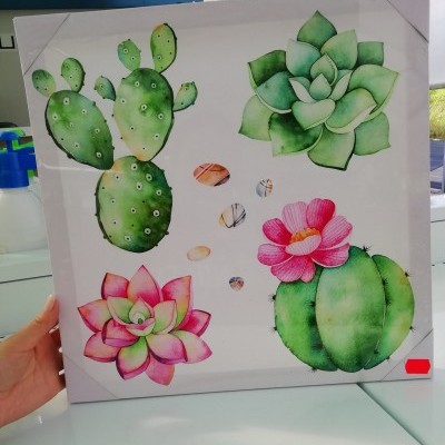 Moldura com ilustração de plantas suculentas coloridas em fundo branco
