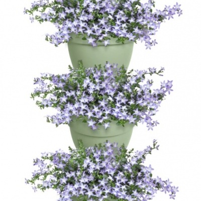 VIBIA CAMPANA VERTICAL FOREST SET/3