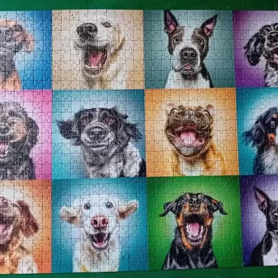 PUZZLE PREMIUM QUALITY: RETRATOS DE CÃES ENGRAÇADOS - 1000 PEÇAS, TREFL