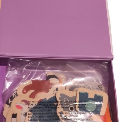 MAGNETIC'S COUCOU - CONSTRÓI ANIMAIS MAGNÉTICOS, DJECO