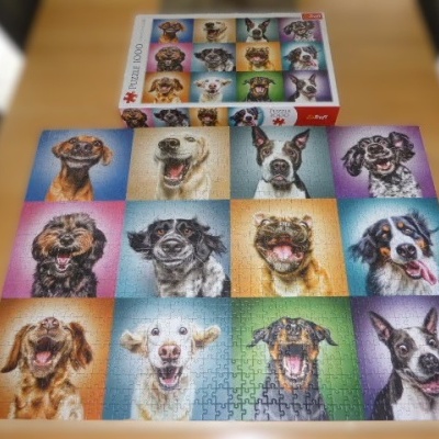 PUZZLE PREMIUM QUALITY: RETRATOS DE CÃES ENGRAÇADOS - 1000 PEÇAS, TREFL