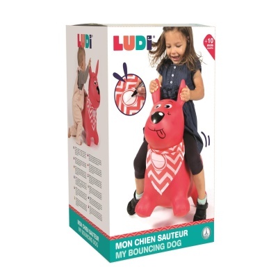 O MEU CÃO SALTITANTE VERMELHO LUDI