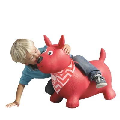 O MEU CÃO SALTITANTE VERMELHO, LUDI