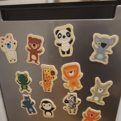 MAGNETIC'S COUCOU - CONSTRÓI ANIMAIS MAGNÉTICOS, DJECO