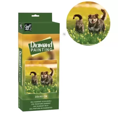 PINTURA DE DIAMANTES 30X40CM CÃO E GATO CRAFT ID