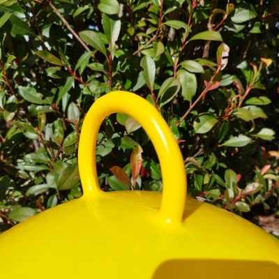 BOLA CANGURU SALTITONA 45CM SOLMAR