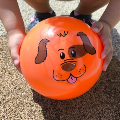 BOLAS COM CARAS DE ANIMAIS 22CM - 6UN