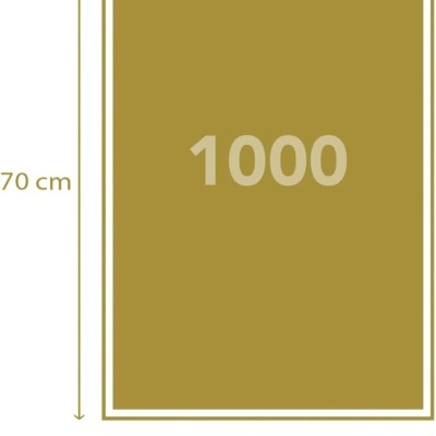 Retângulo cáqui com o número 1000 e medidas 70 cm por 50 cm