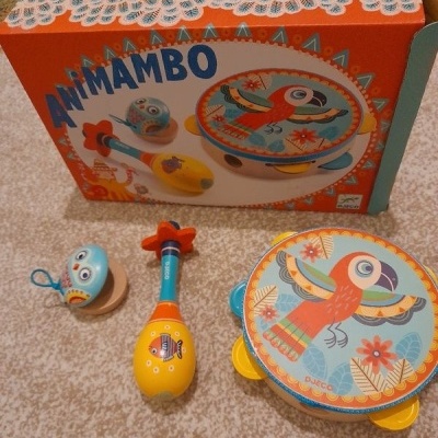 ANIMAMBO - CONJUNTO INSTRUMENTOS MUSICAIS: PANDEIRETA, MARACA E CASTANHOLA, DJECO