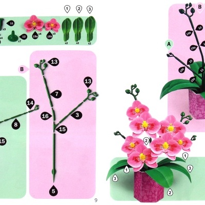 FLORAL ART - ARTE FLORAL ORQUÍDEA, EDUCA