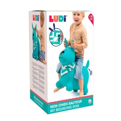 O MEU CÃO SALTITANTE AZUL LUDI