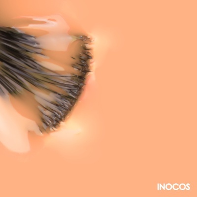 VERNIZ GEL INOCOS coleções 2024-2025