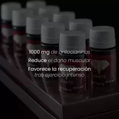 Frascos pequenos com rótulos e tampas brancas alinhados em bandeja